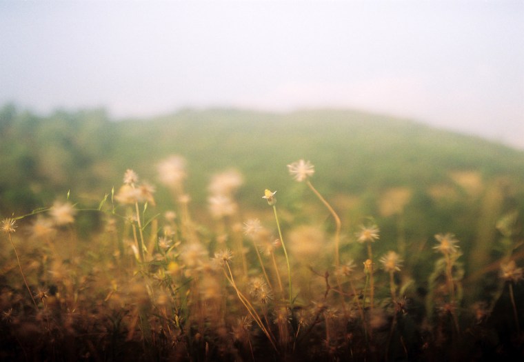 Blossom with Exa by Khánh Hmoong