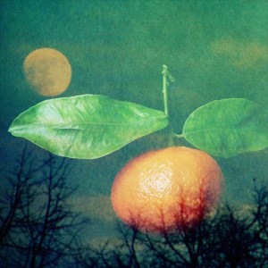 dubble by theclementinebox & cumcake.