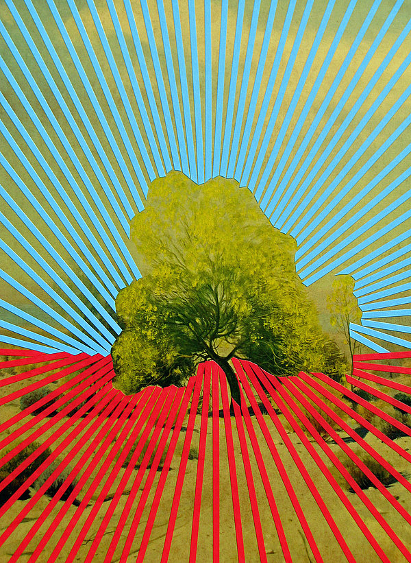 Majesty Tree by Joe Ryckebosch.