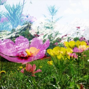 dubble by theclementinebox & chung.