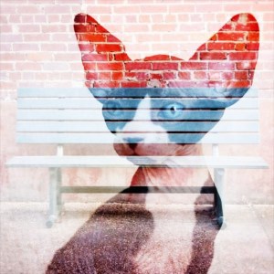 dubble by theclementinebox & bensonic.